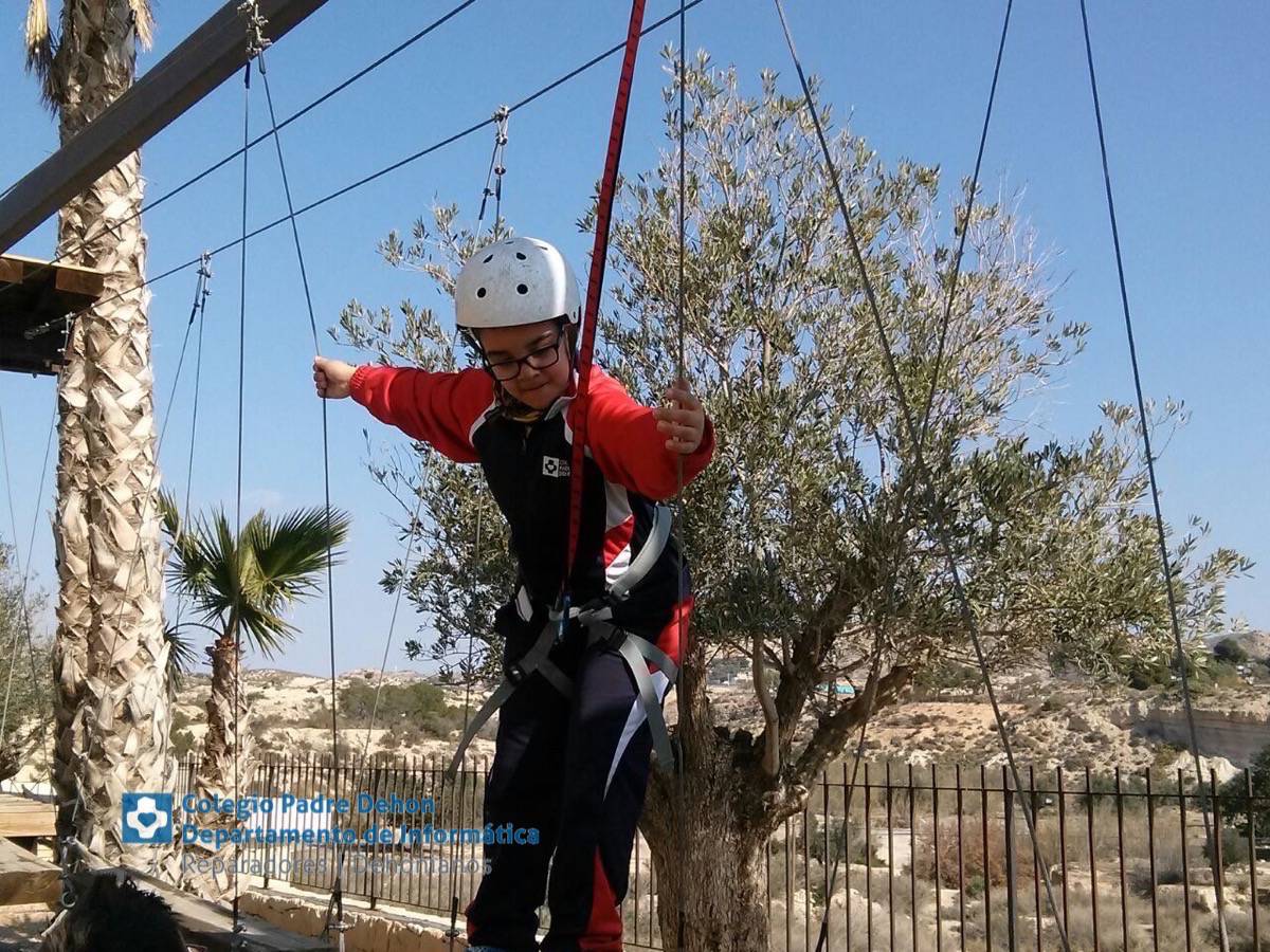 Photo938017469173442533