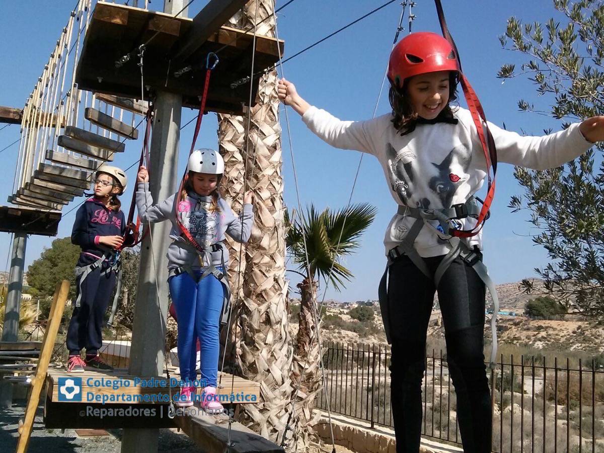 Photo938017469173442564