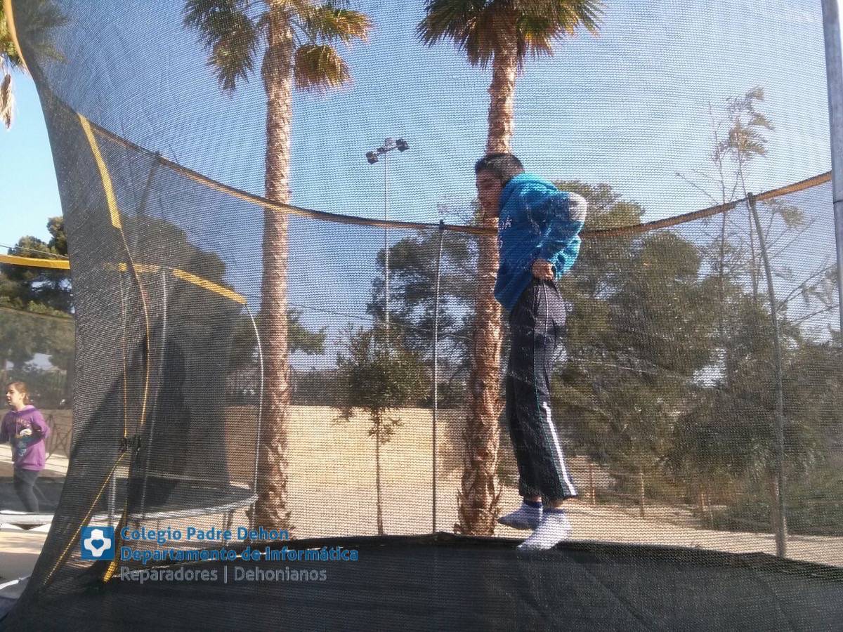 Photo938017469173442577