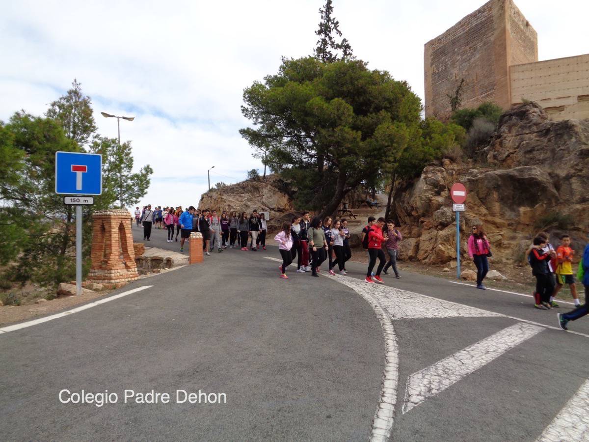 Marcha solid 23oct25