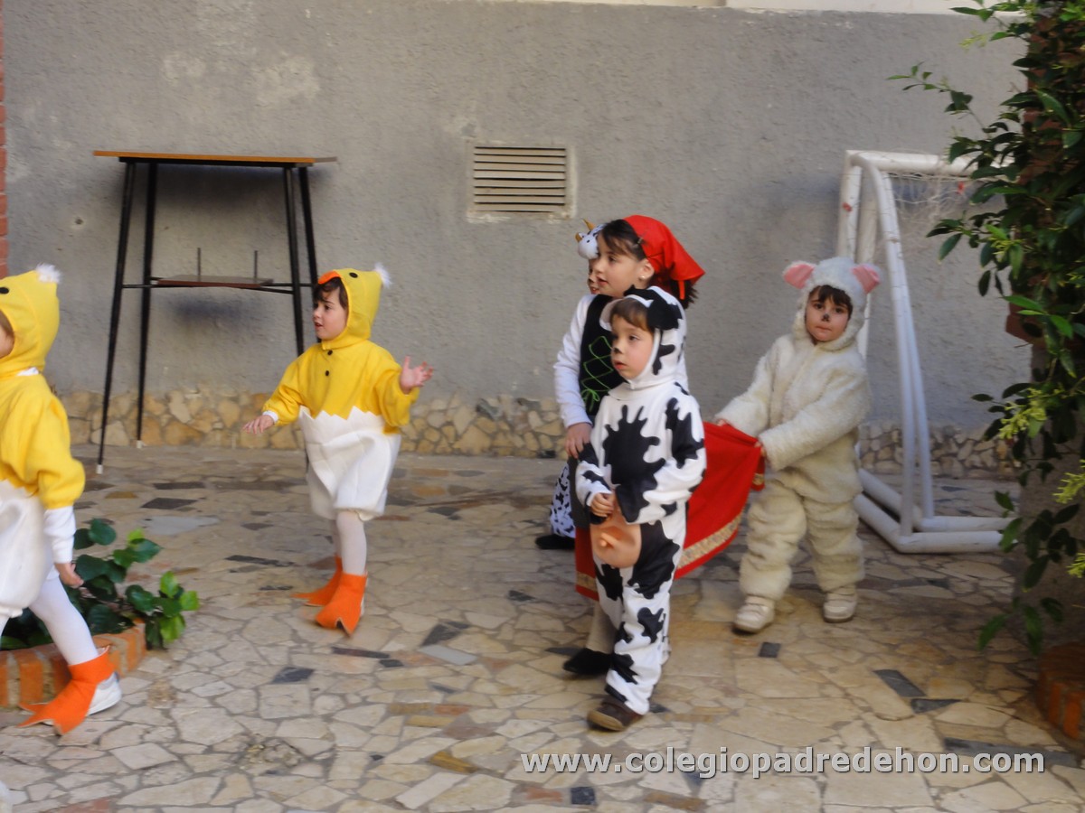 Festival nav 1 inf00014