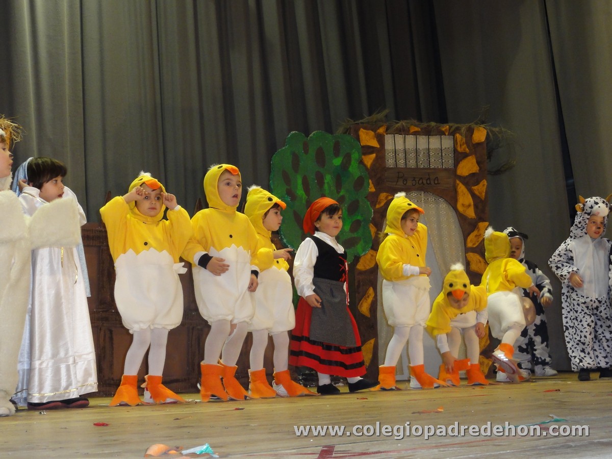 Festival nav 1 inf00040