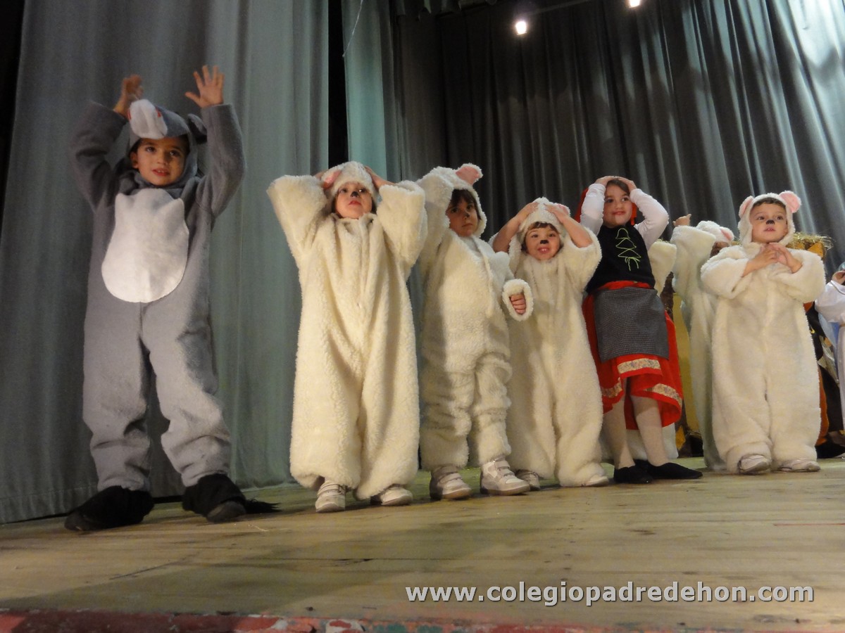 Festival nav 1 inf00041