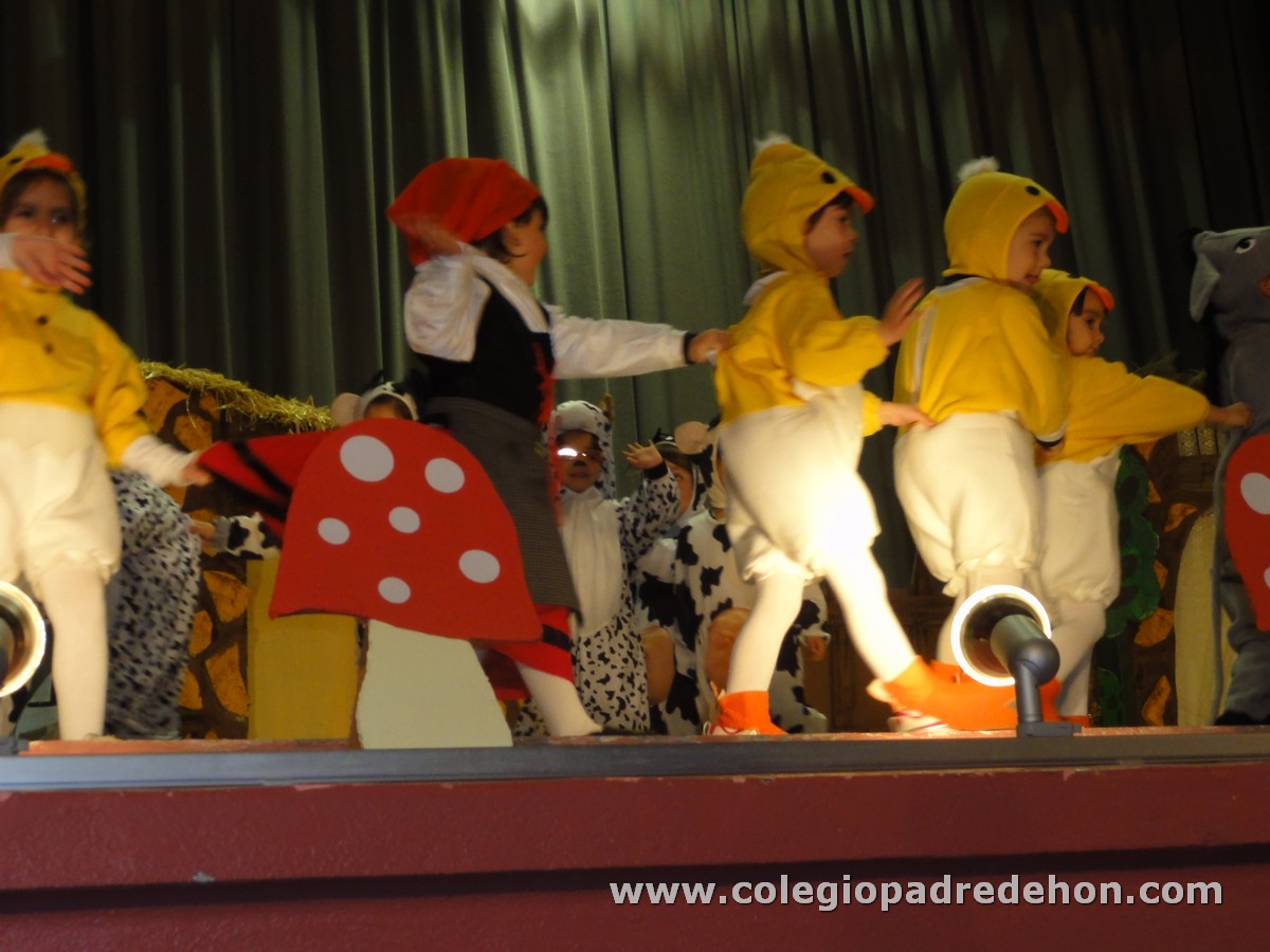 Festival nav 1 inf00042