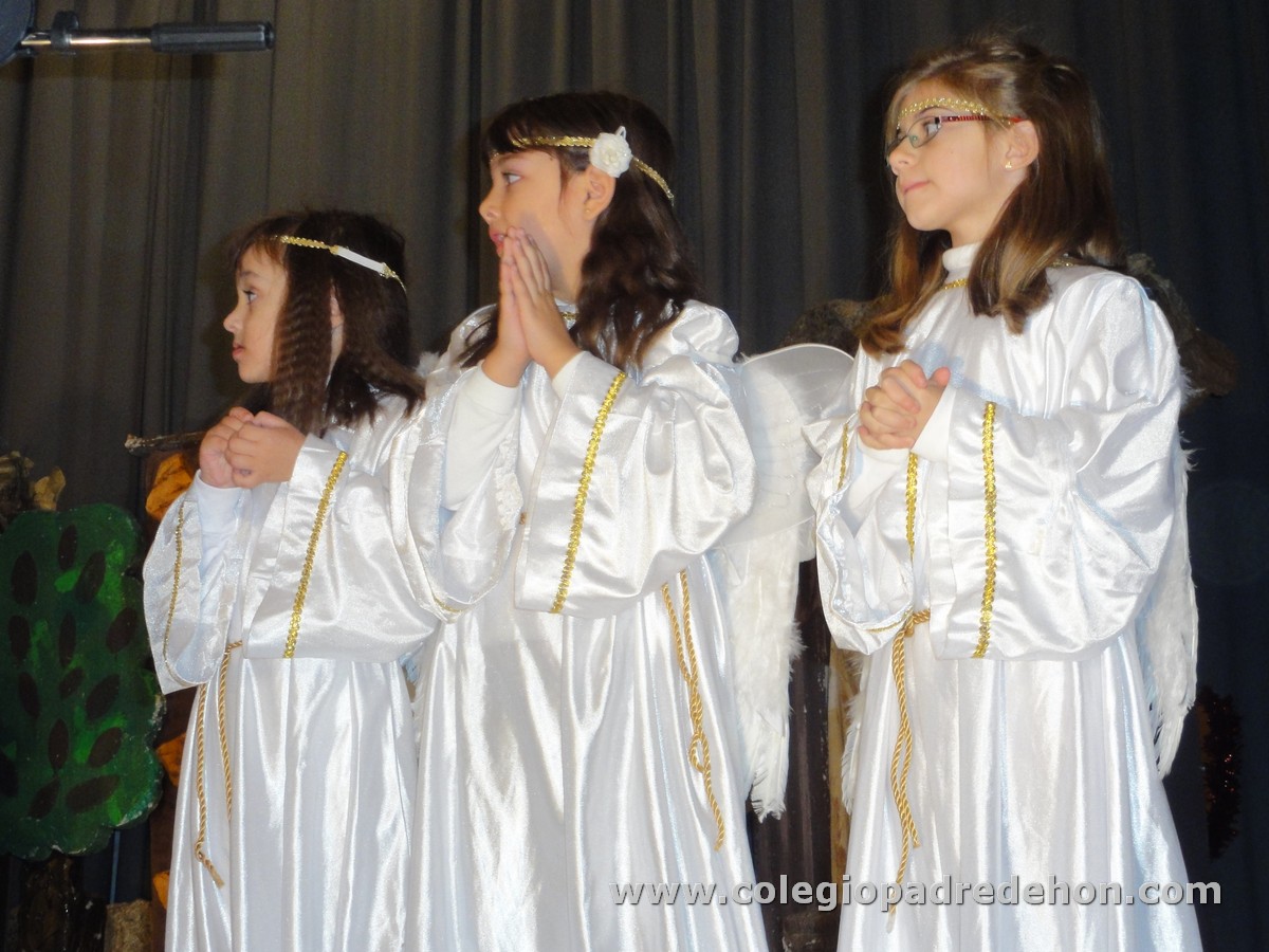 Festival nav 3 inf00033