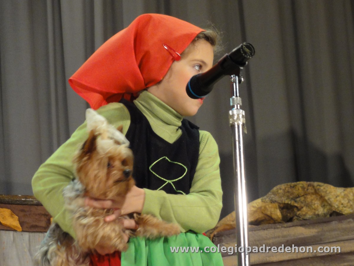 Festival nav 3 inf00056