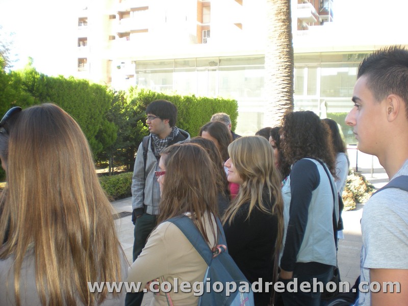 BIBLIOTECA VALENCIANA00060