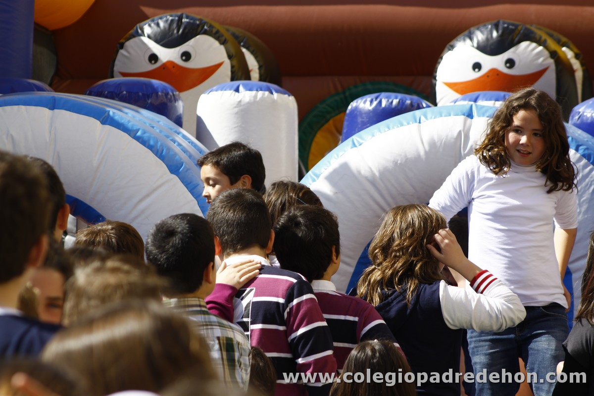 Fiesta apa 201200001