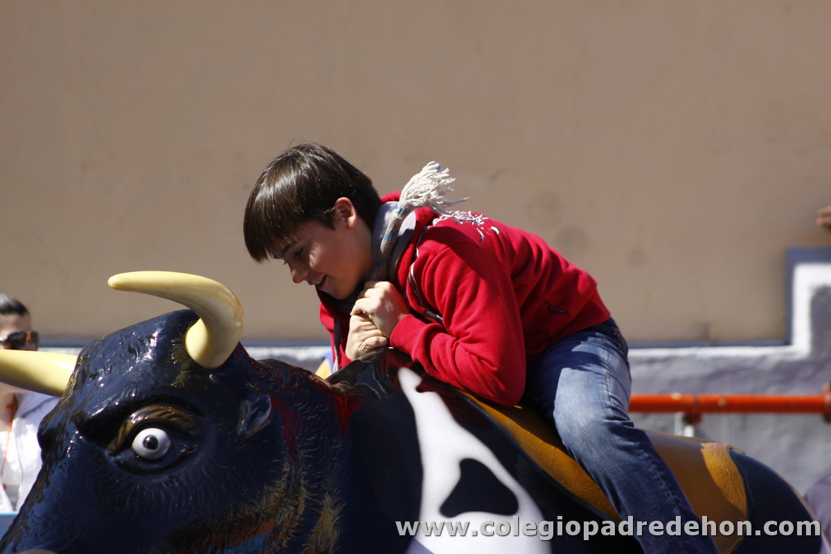 Fiesta apa 201200003