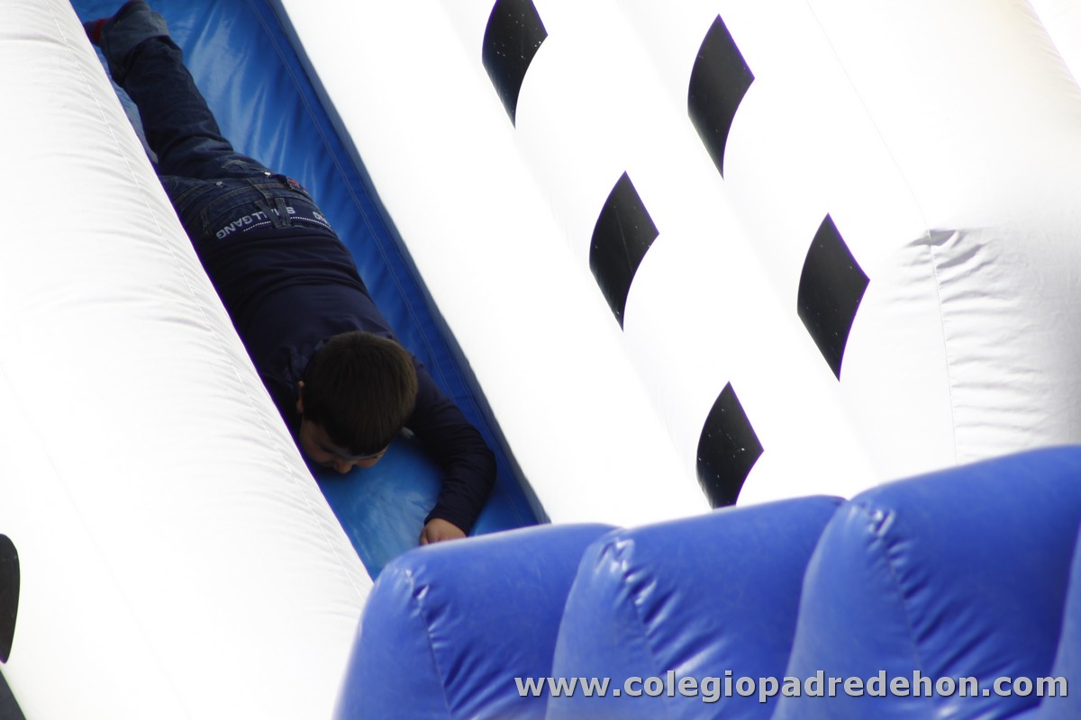 Fiesta apa 201200007