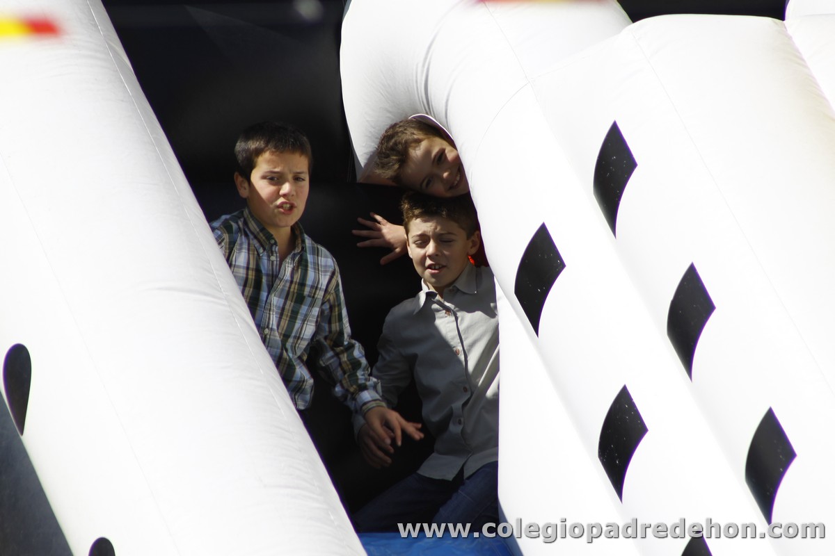 Fiesta apa 201200008