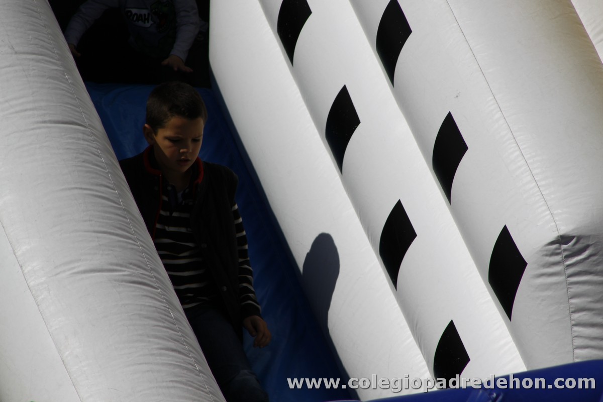 Fiesta apa 201200012