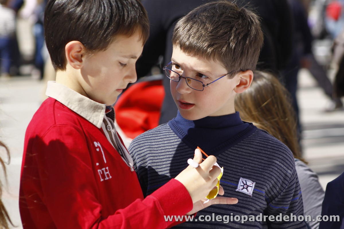 Fiesta apa 201200015