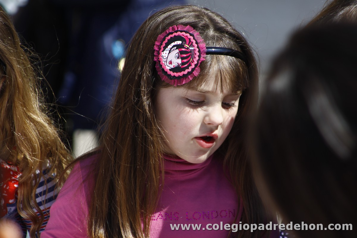 Fiesta apa 201200024