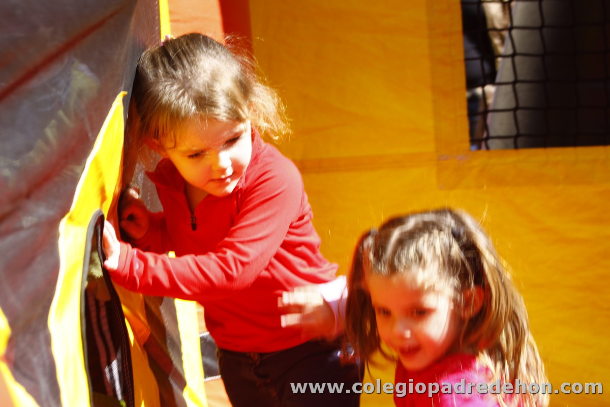 Fiesta apa 201200031