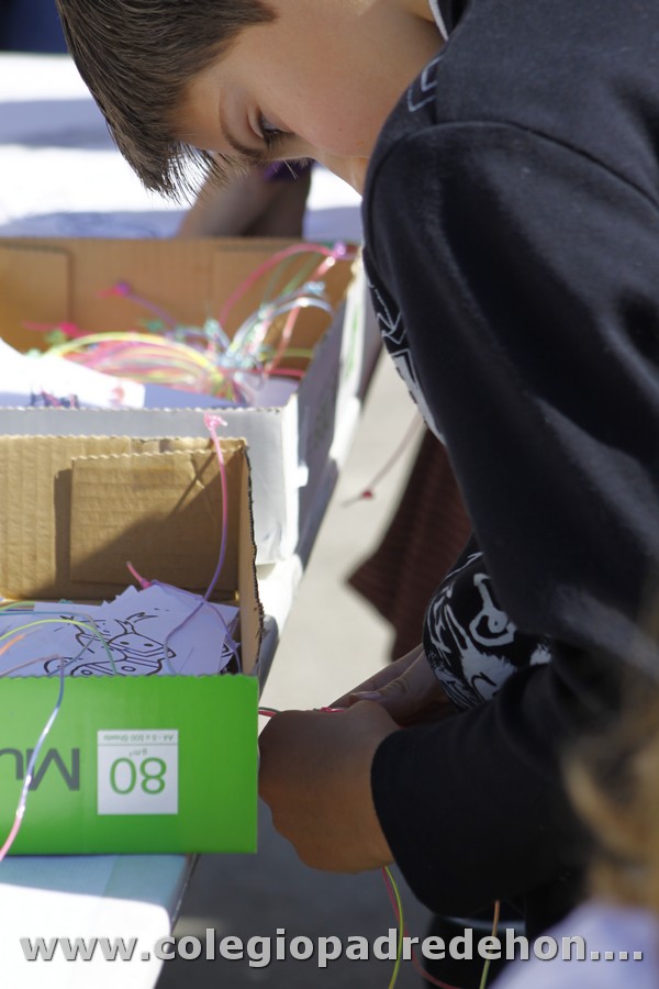 Fiesta apa 201200038