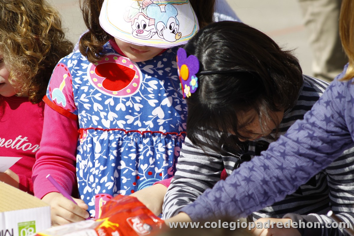 Fiesta apa 201200060