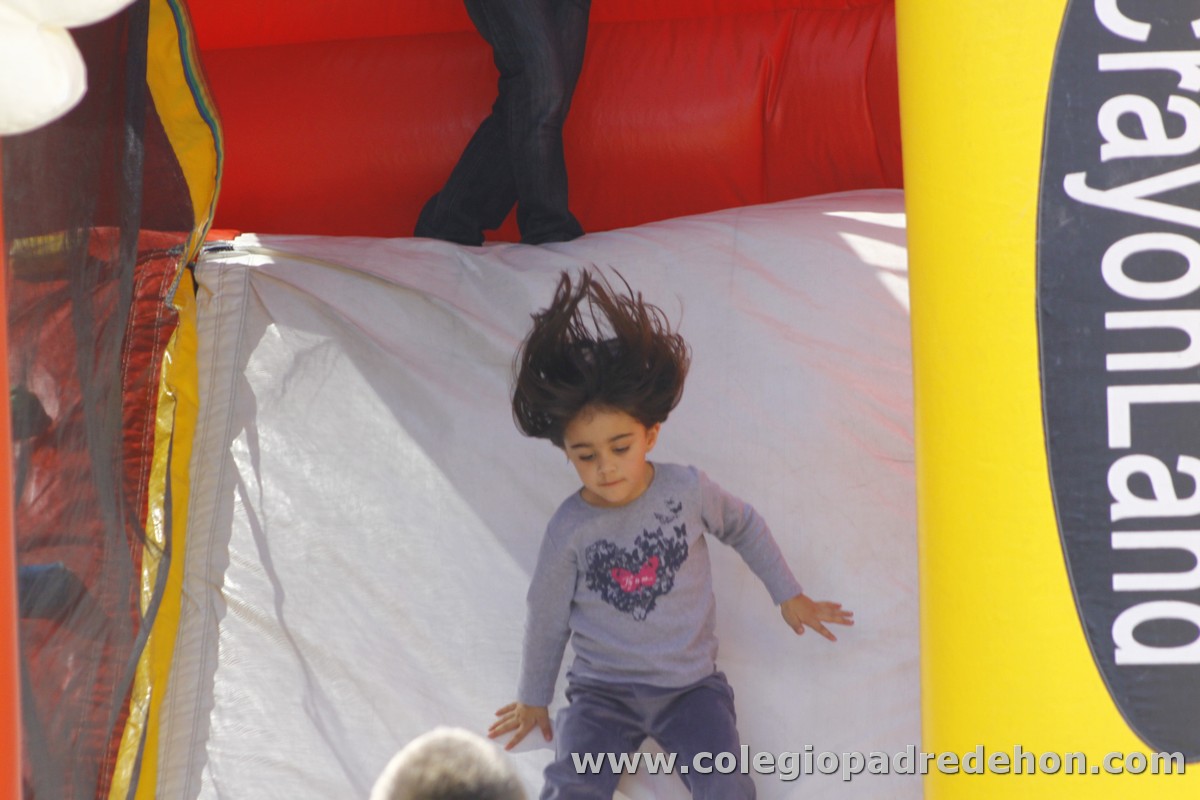 Fiesta apa 201200063