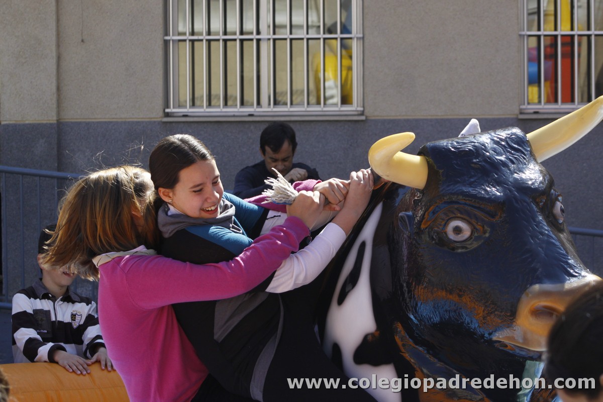 Fiesta apa 201200070