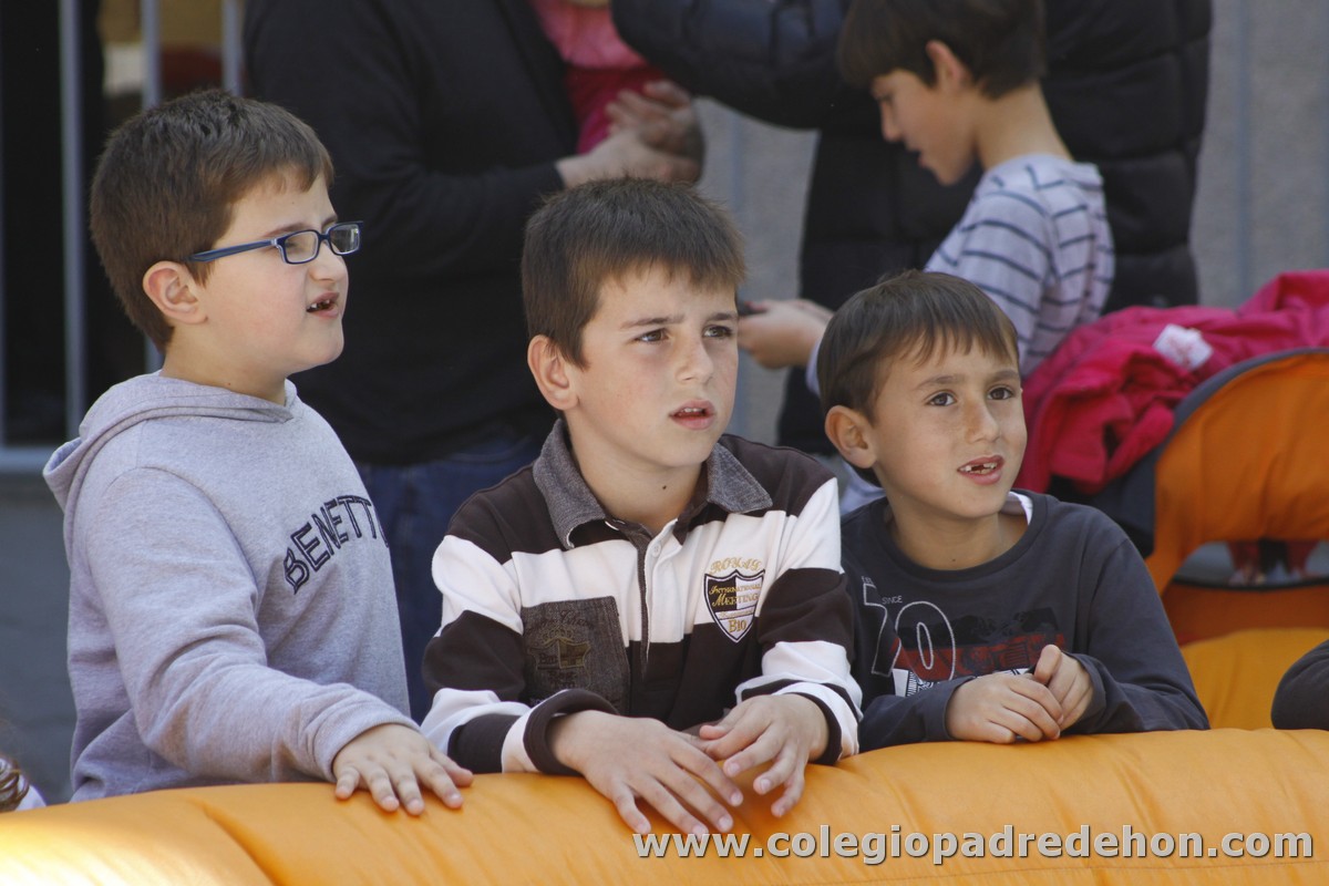 Fiesta apa 201200073