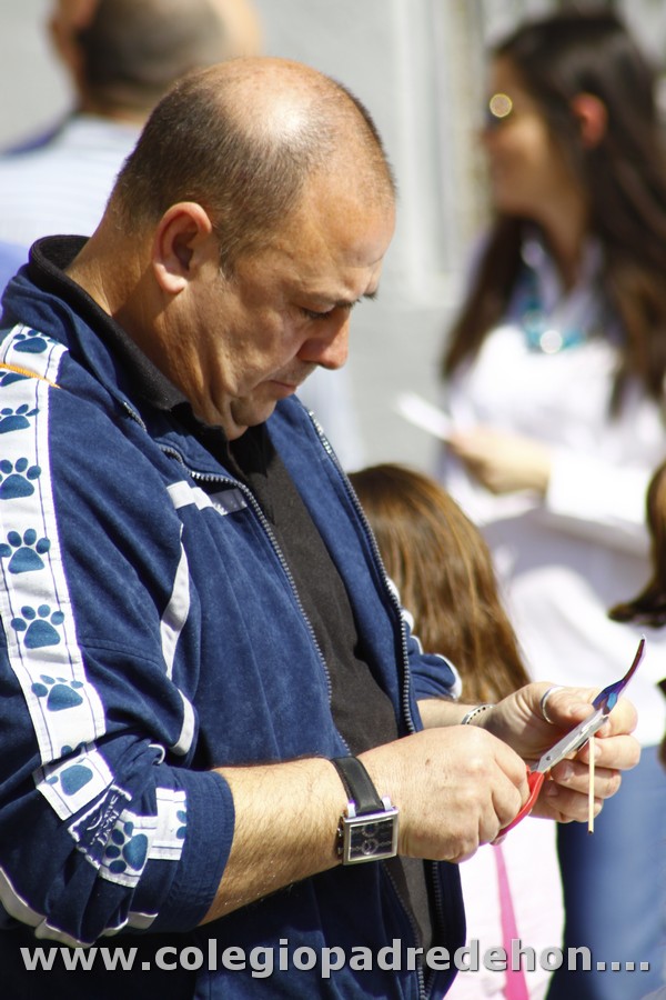 Fiesta apa 201200079