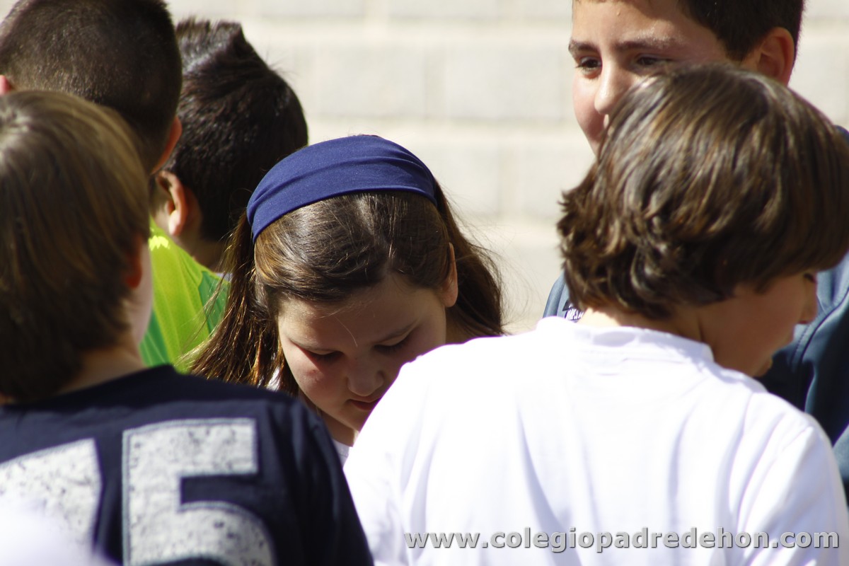 Fiesta apa 201200080