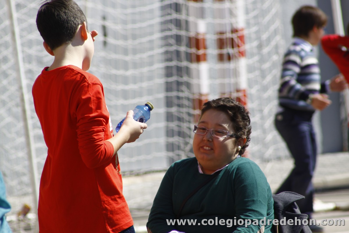 Fiesta apa 201200084