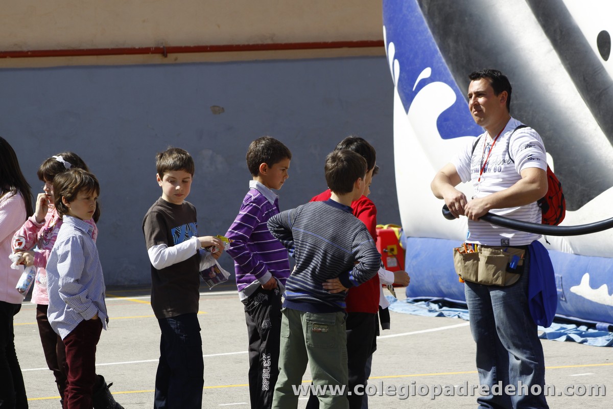 Fiesta apa 201200093