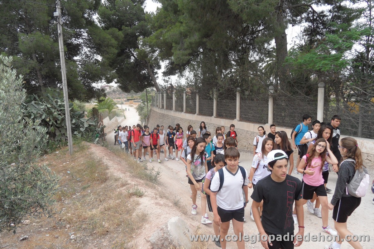 Marcha solidaria 201200005