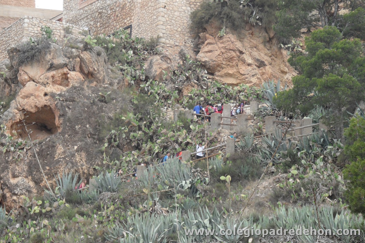 Marcha solidaria 201200008