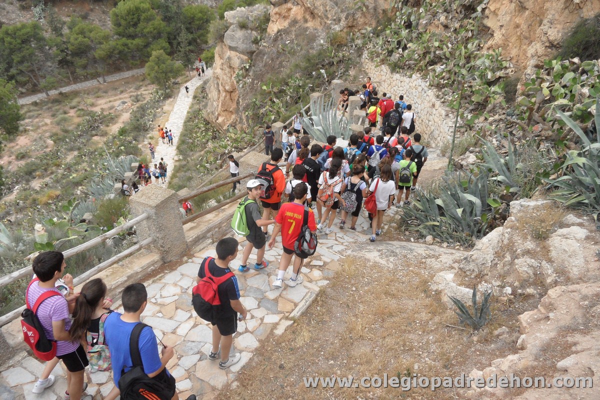 Marcha solidaria 201200044