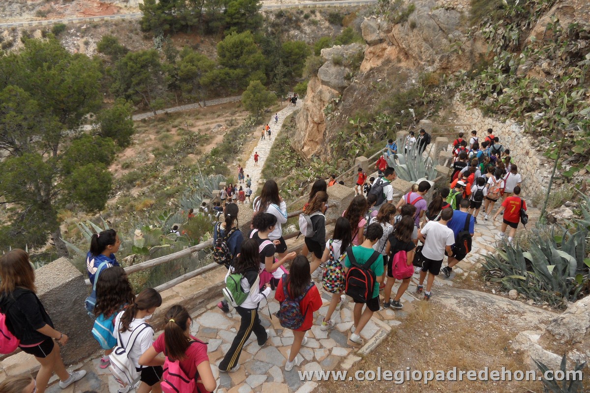 Marcha solidaria 201200045