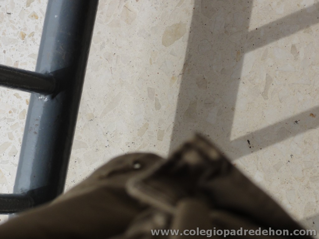 Fiesta apa 201100008