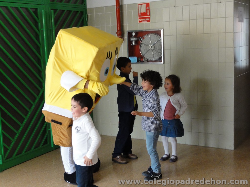 Fiesta apa 201100012