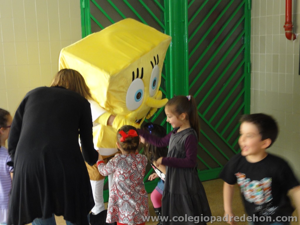 Fiesta apa 201100014