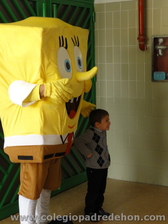 Fiesta apa 201100016