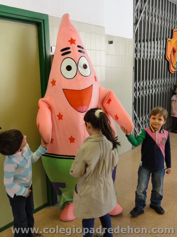 Fiesta apa 201100021