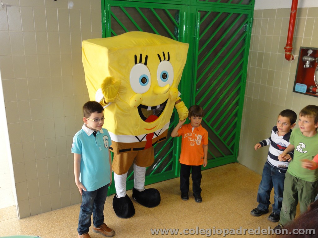 Fiesta apa 201100026