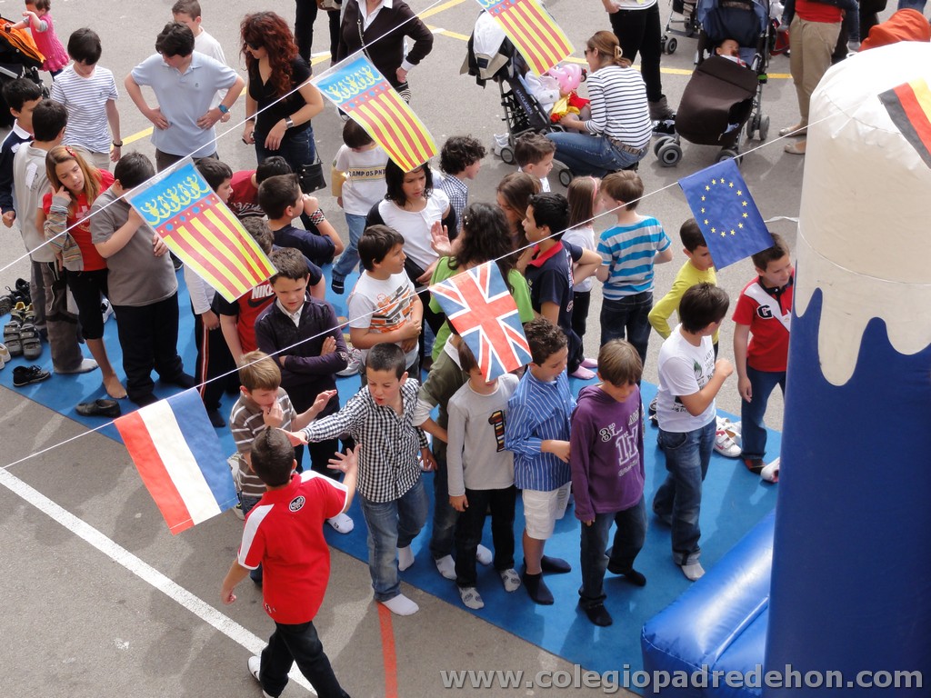 Fiesta apa 201100033