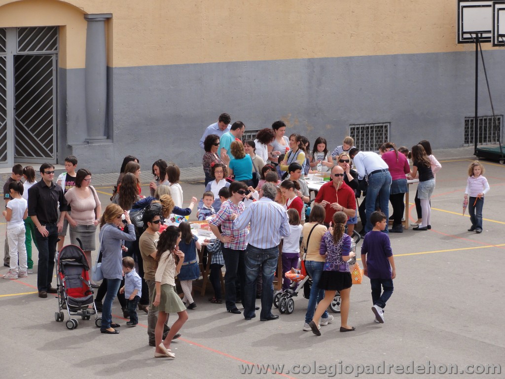 Fiesta apa 201100037