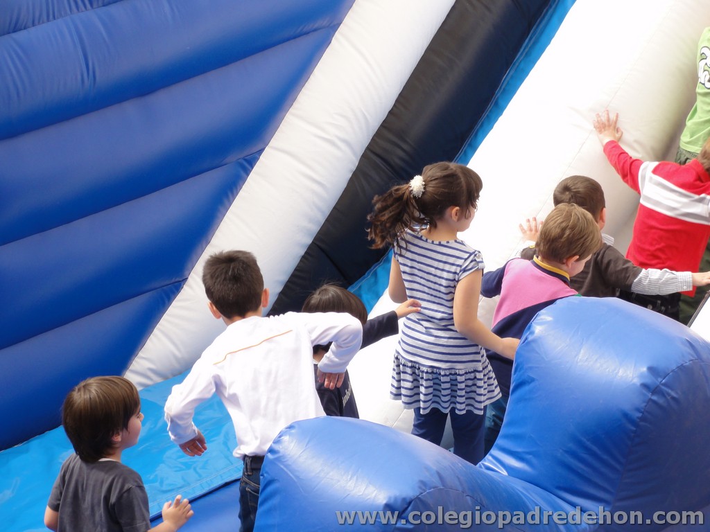 Fiesta apa 201100039