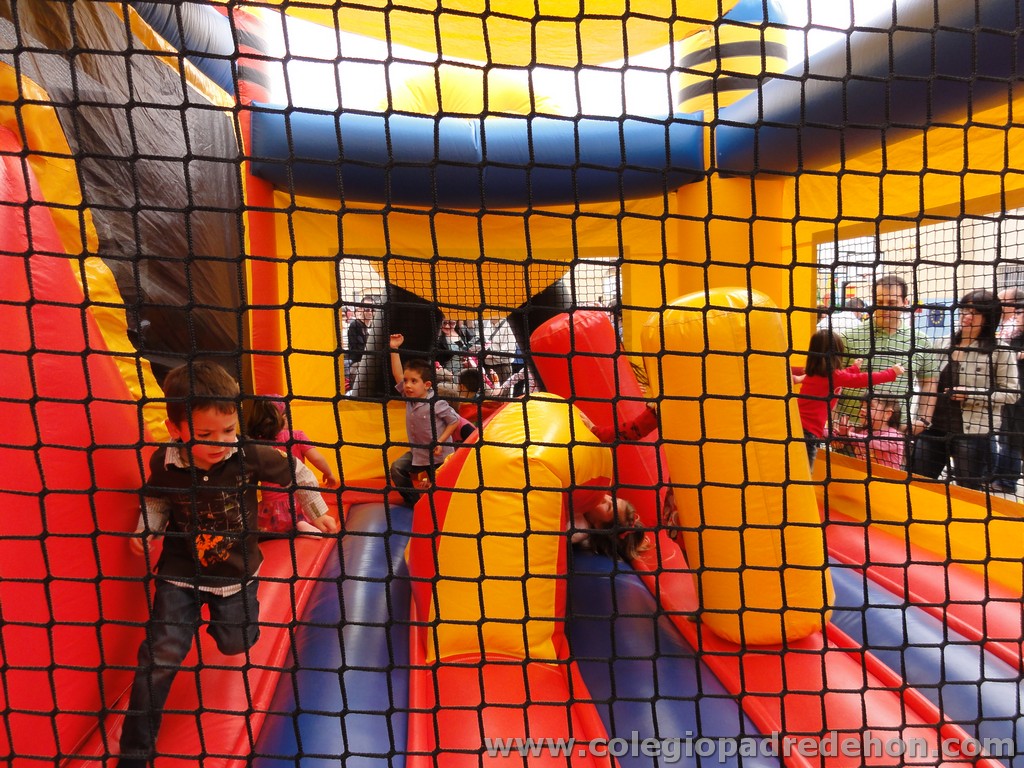 Fiesta apa 201100047