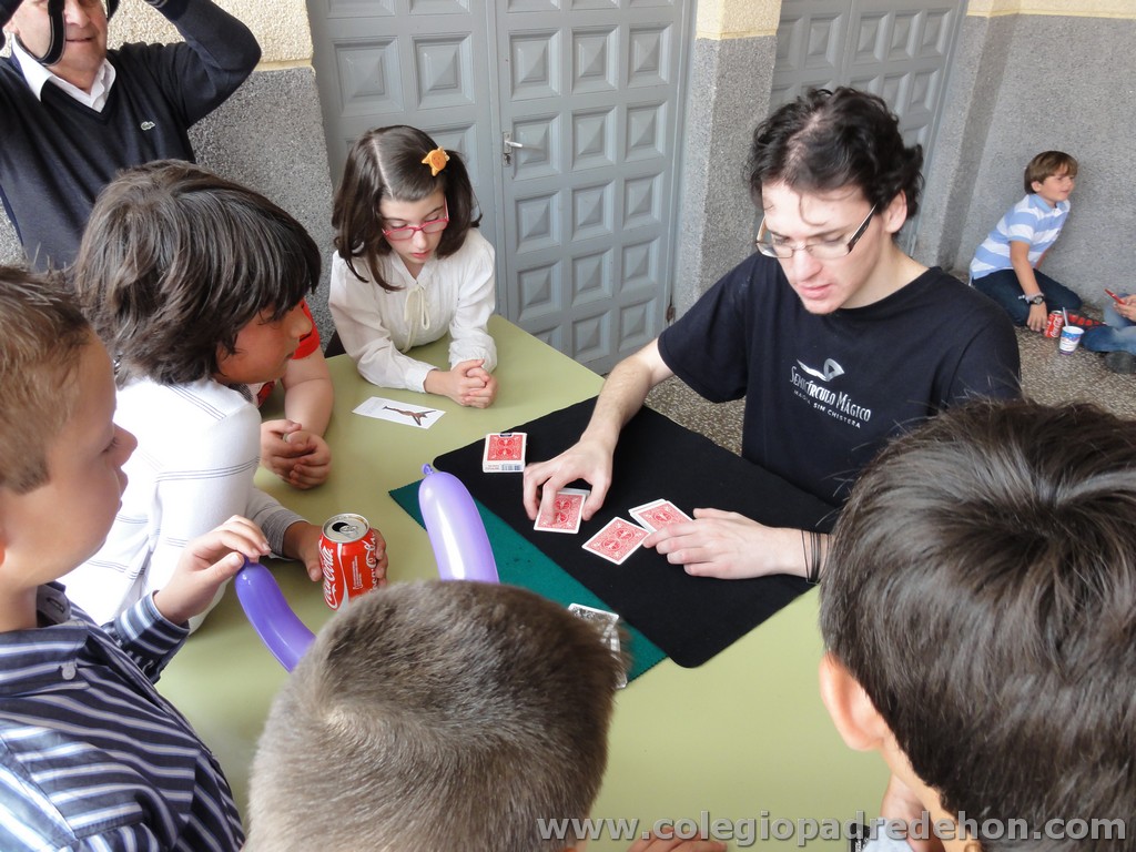 Fiesta apa 201100050