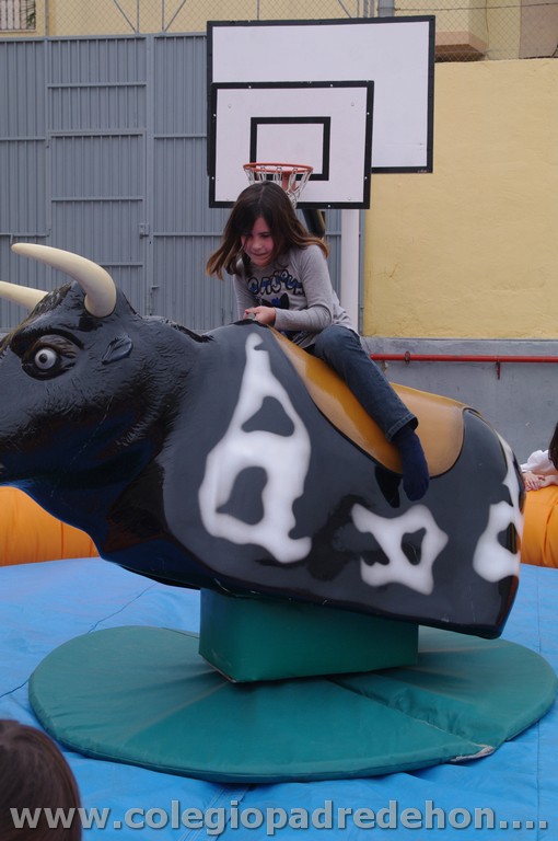 Fiesta apa 201100089