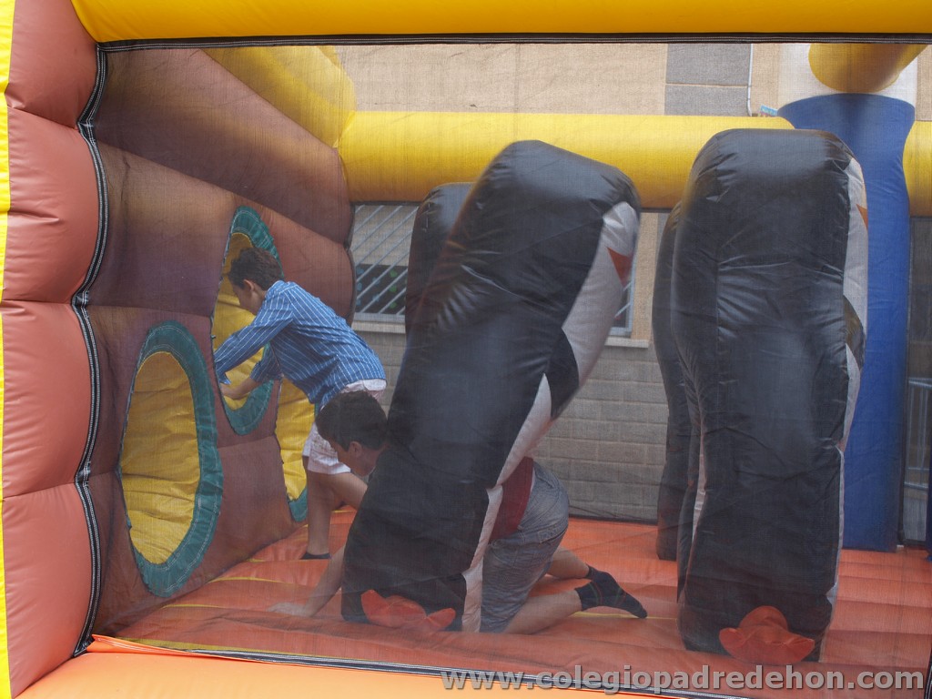 Fiesta apa 201100110