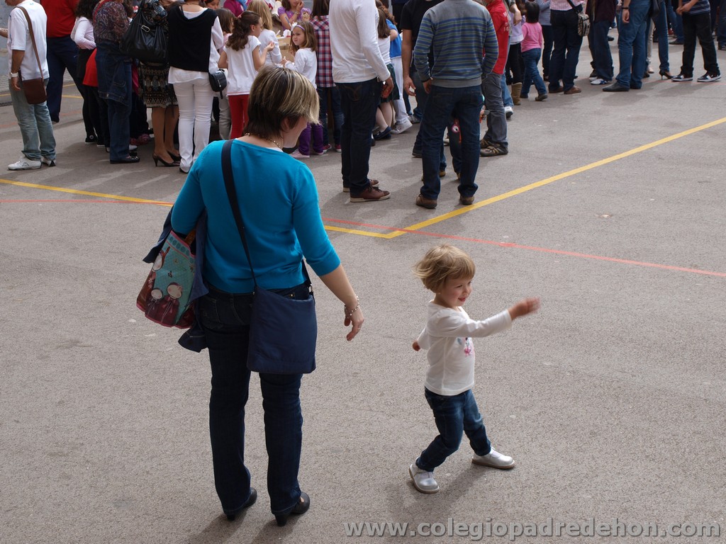 Fiesta apa 201100135