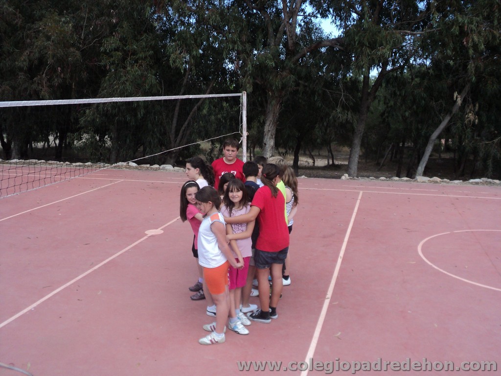 Convivencia postcom201100019