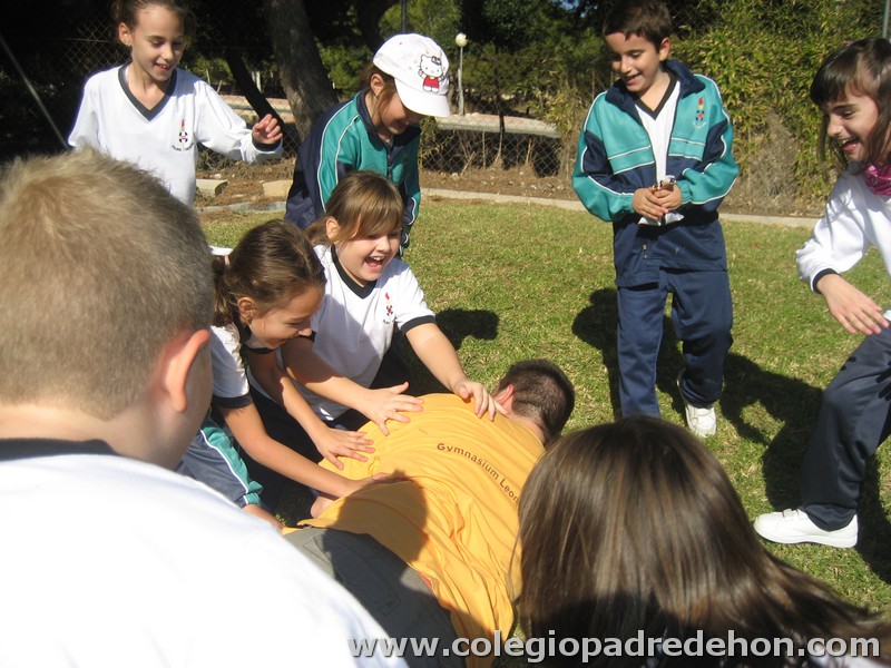 Convivencia 201000019