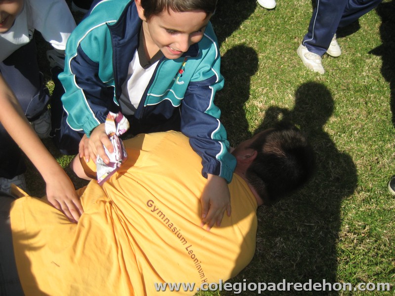 Convivencia 201000020