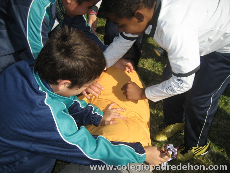 Convivencia 201000021